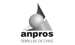 Cliente 2